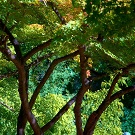 8130466030_378f7bd5a2_o